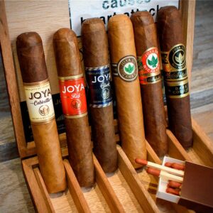 Buy Joya de Nicaragua Robusto 6 Cigars online in Australia